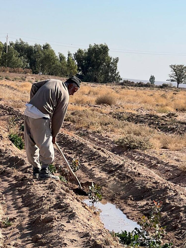 محمود حجتی در زمین کشاورزی