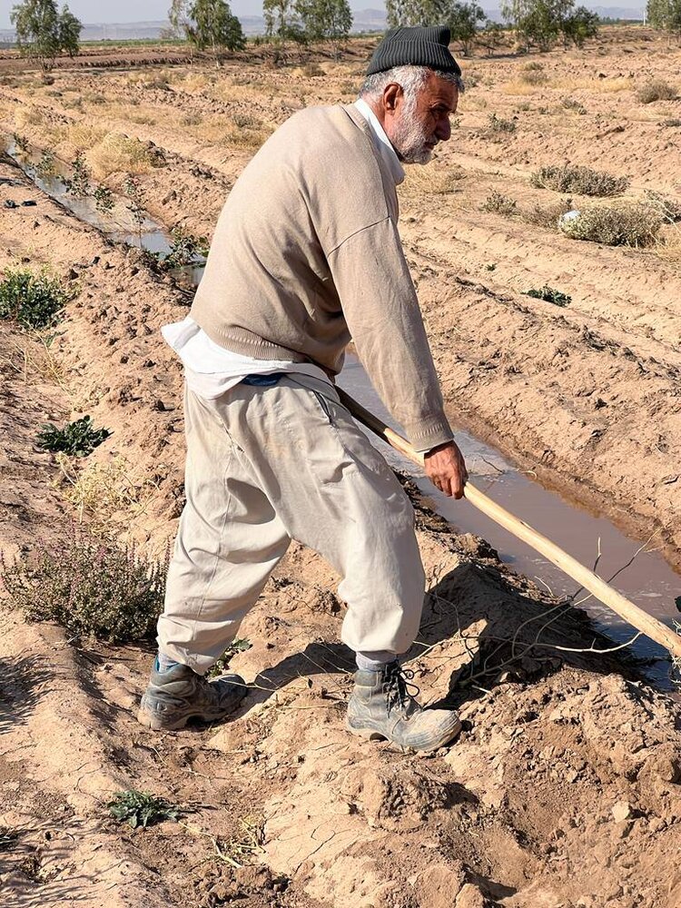 محمود حجتی در زمین کشاورزی