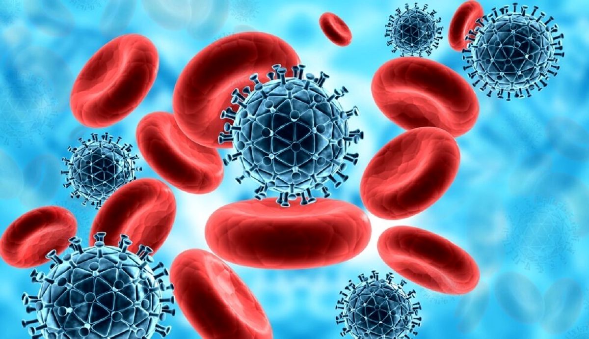 2 فوتی و 22 مبتلا در ویروس تب کریمه کنگو
