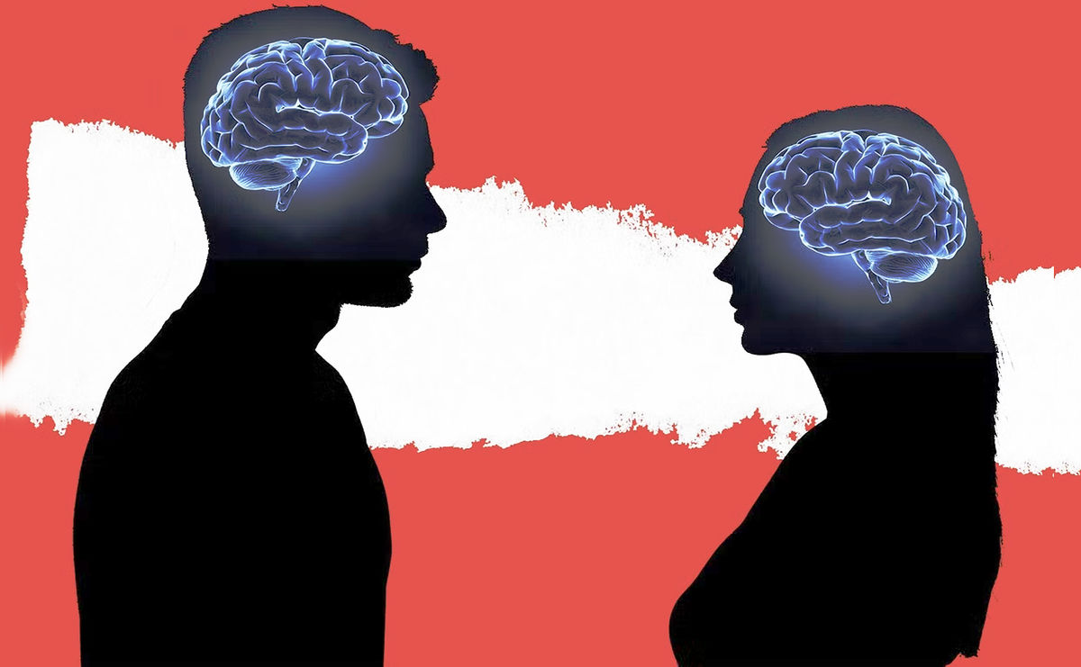 راز تفاوت مغز زنان و مردان کشف شد