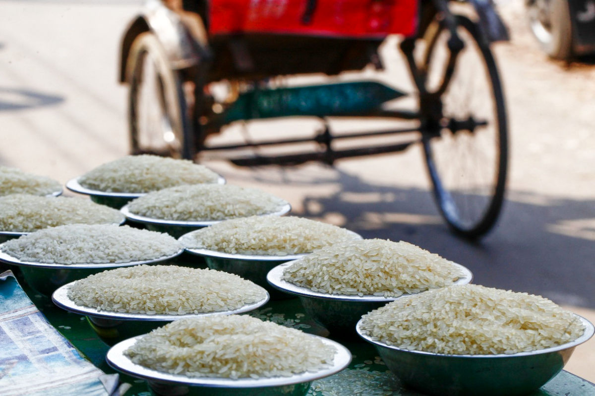 قیمت برنج سر به فلک کشید/ قیمت انواع برنج در بازار (16 آبان 1401)