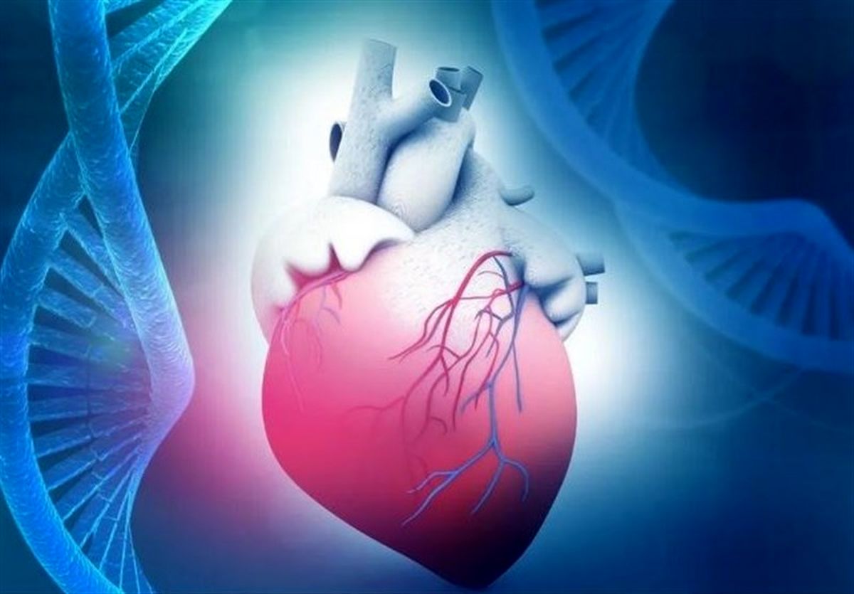 کشف ژن ضد پیری که قلب را ۱۰ سال جوان تر می کند!