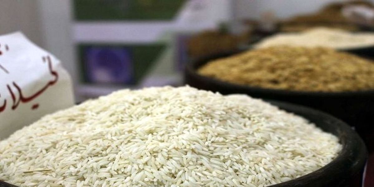خبر خوش درباره برنج | ارزانی در راه است